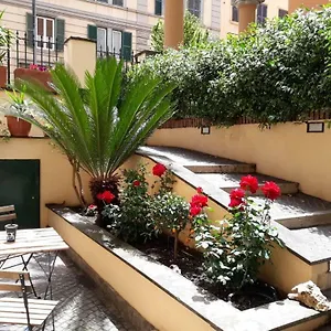 Rosa , Roma Italia