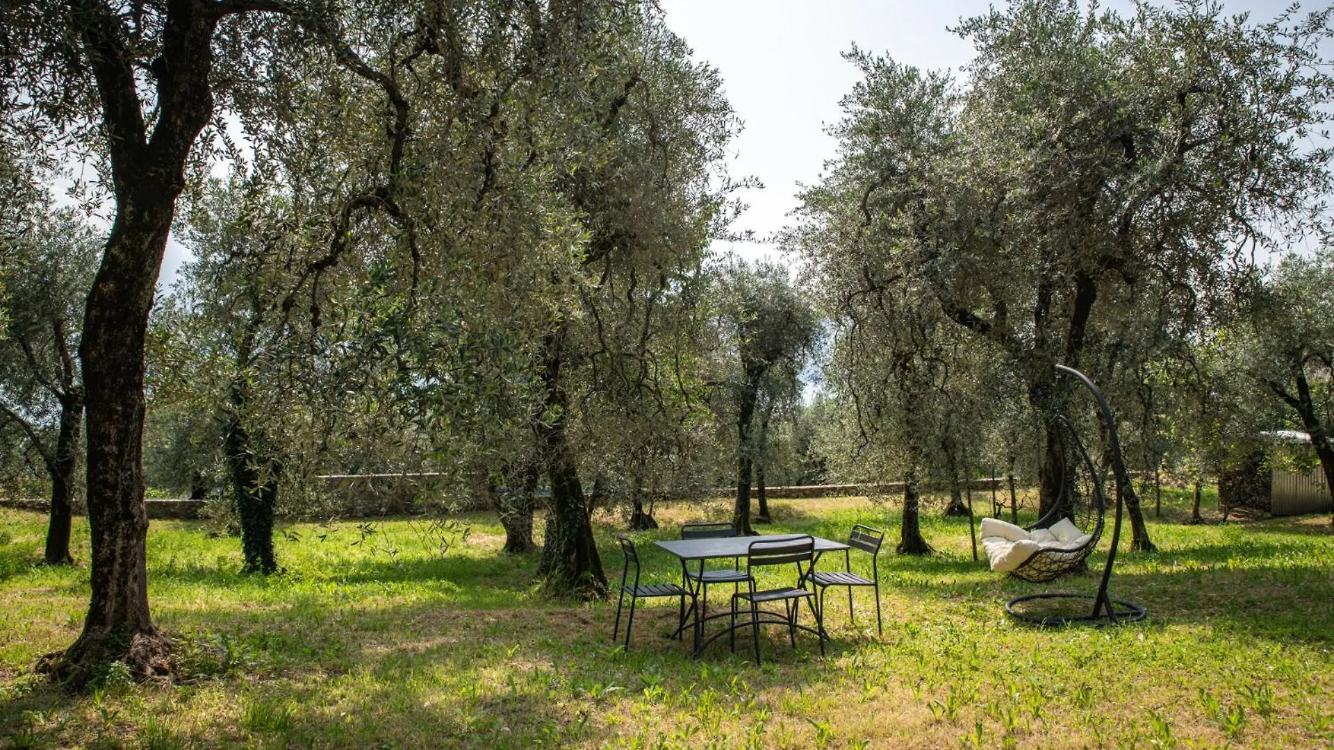 לינה וארוחת בוקר גרגננו B&B Il Sogno Nel Borgo